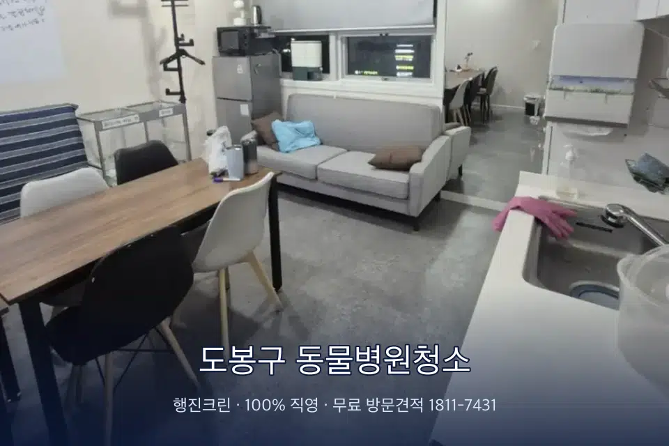 도봉구 동물병원청소 병원 휴게 공간 의자 소독